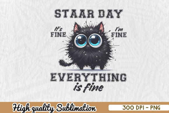 Test Day Black Cat Teacher PNG Graphics and Crafts